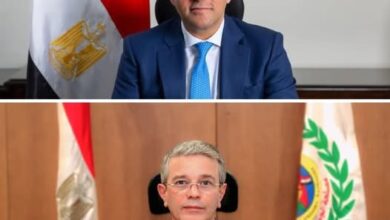 مصر تستعرض إنجازاتها في التحول الرقمي والصحة العامة في اجتماع وزراء صحة مجموعة D-8