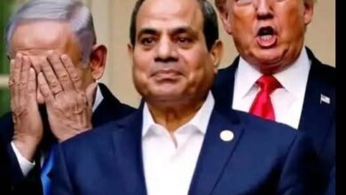 مصر تحبط مخططا لاستهداف أمنها المائى وتنفذ مشروعات كبرى لحماية أراضيها