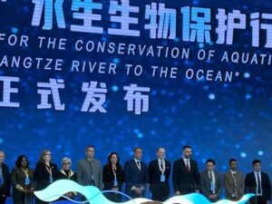 نائب محافظ الجيزة تستعرض أبرز مشروعات التطوير السياحي والحضاري على هامش حوار البلديات العالمي بالصين 2 نائب محافظ الجيزة تستعرض أبرز مشروعات التطوير السياحي والحضاري على هامش حوار البلديات العالمي بالصين