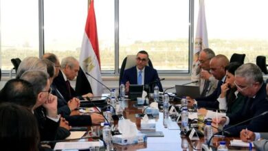 وزير الاستثمار والتجارة الخارجية يلتقي رؤساء عدد من المجالس التصديرية لبحث سبل تعزيز الصادرات المصرية