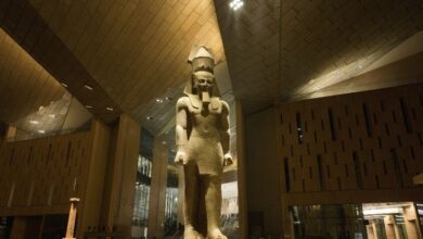 القبض على الداعية الإسلامي مصطفى العدوي بعد هجومه على المتحف الكبير