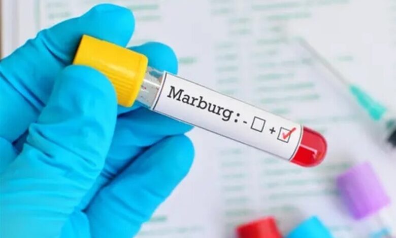 فيروس ماربورغ هل يهدد مصر .. بعد مخاوف من انتشاره ؟