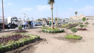 رئيس الوزراء يستعرض تقريرًا حول جهود الهيئة العامة للرعاية الصحية خلال الفترة من (2019 – 2025)