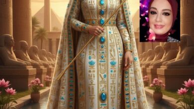 نبض التاريخ