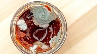 خطأ شائع يرتكبه الكثيرون.. احذروا استخدام معجون الطماطم بعد ظهور العفن 5 خطأ شائع يرتكبه الكثيرون.. احذروا استخدام معجون الطماطم بعد ظهور العفن