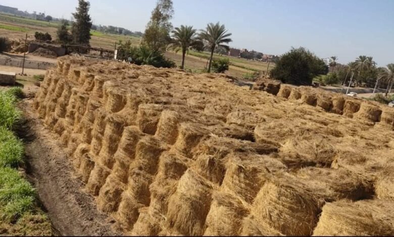 محافظ الشرقية يشيد بجهود جهاز شئون البيئة للقضاء على السحابة السوداء 1 محافظ الشرقية يشيد بجهود جهاز شئون البيئة للقضاء على السحابة السوداء