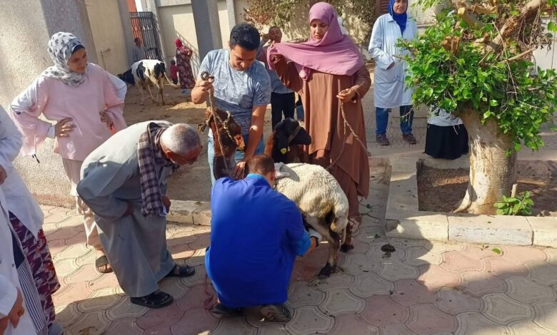 الزراعة" تواصل جهود دعم مربي الثروة الحيوانية 1 الزراعة" تواصل جهود دعم مربي الثروة الحيوانية