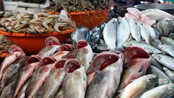 بيان يوضح تفاصيل اسعار الأسماك في شمال سيناء 1 بيان يوضح تفاصيل اسعار الأسماك في شمال سيناء