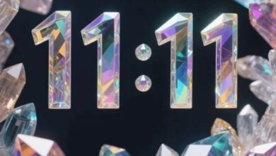 طاقات التحول العميق ..قرار مصيري 11/11