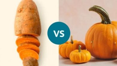 صراع الحلاوة والصحة.. البطاطا الحلوة أم اليقطين؟ أيهما الأفضل لضبط سكر الدم؟