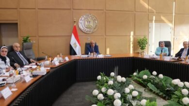 عصمت: تطوير وتحديث الشبكة الكهربائية وزيادة قدراتها والتحول من شبكة نمطية إلى شبكة ذكية 