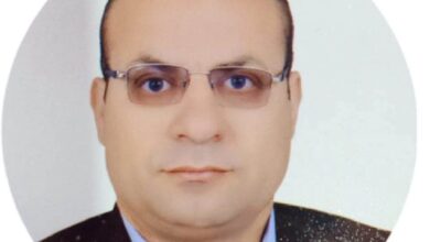 حين تتقدّم الدولة… يتوارى الدور الخدمي للنائب