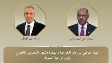وزير الخارجية يؤكد تضامن مصر الكامل مع الشعب السوداني في هذه المرحلة الدقيقة 