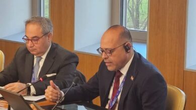 وزير العمل يلتقي مدير عام منظمة العمل الدولية بجنيف