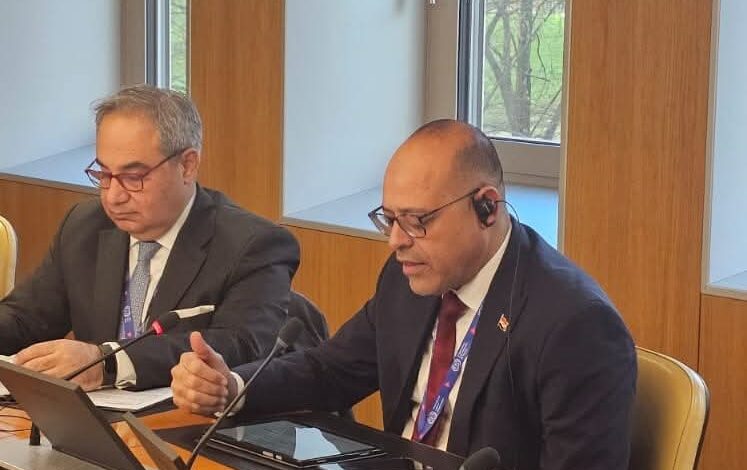 وزير العمل يلتقي مدير عام منظمة العمل الدولية بجنيف