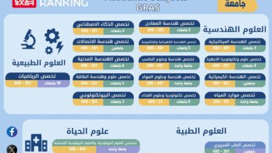 التعليم العالي : إدراج 25 جامعة مصرية ضمن تصنيف شنغهاي للتخصصات العلمية لعام 2025م