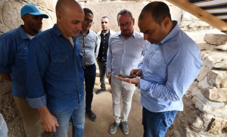 تانيس بالشرقية تكشف عن مزيد من أسرارها 1 تانيس بالشرقية تكشف عن مزيد من أسرارها