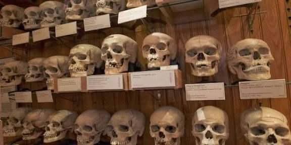 الشهداء الأسرى 1 الشهداء الأسرى