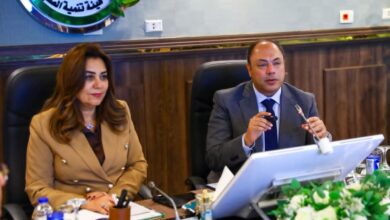 عوض: تشارك في اجتماع مجلس إدارة هيئة تنمية الصعيد وتطلق الموقع الإلكتروني للهيئة
