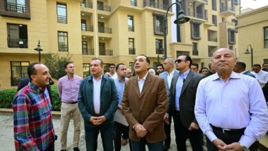 مدبولي يوجه بتسليم الوحدات السكنية في "روضة السيدة 2" لمستحقيها بالعدادات مسبقة الدفع 