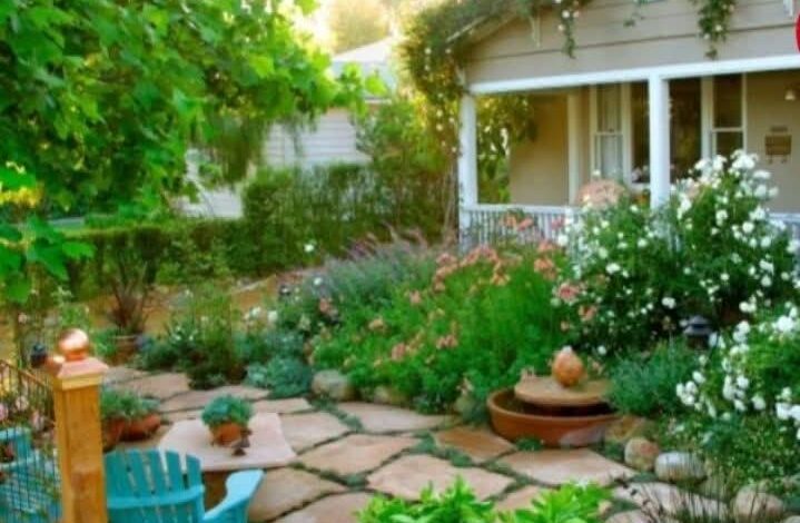 بَهِيَّة وثَوْب العَصْرِيَّة 1 بَهِيَّة وثَوْب العَصْرِيَّة