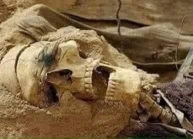 كيَف تموت الملائكة ؟ وماذا تطلب في لحظاتها الأخيرة