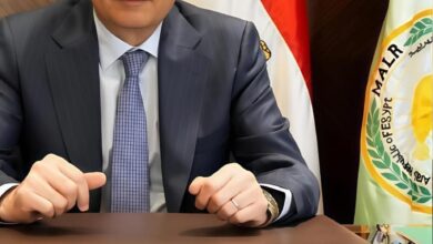 وزير الزراعة: 8.2 مليون طن إجمالي صادرات مصر الزراعية حتى الآن 2 وزير الزراعة: 8.2 مليون طن إجمالي صادرات مصر الزراعية حتى الآن