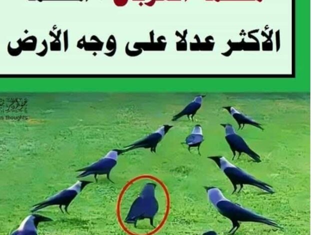 محكمة الغربان المحكمة الأكثر عدلا على وجه الأرض 