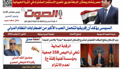 تصفـح العـدد الورقى الثالث عشر لجريدة الصوت ليوم الاثنين 17/11/2025 12 تصفـح العـدد الورقى الثالث عشر لجريدة الصوت ليوم الاثنين 17/11/2025