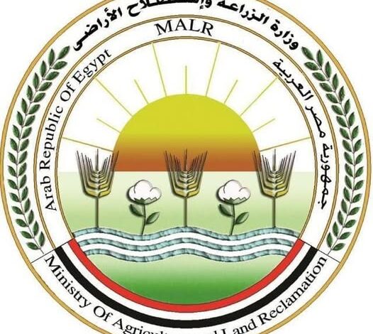 وزارة الزراعة تنفي شائعة عزوف المزارعين عن زراعة القمح