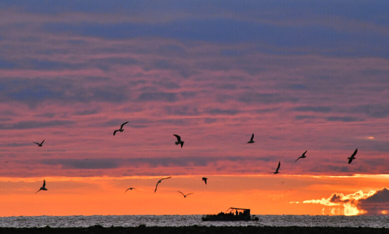 تعرض ناقلة متجهة من روسيا إلى جورجيا لهجوم بالقرب من الساحل التركي