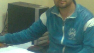 حين يصبح الدبّ أرنبًا… ويُمنح الأرنب هيئة نمر