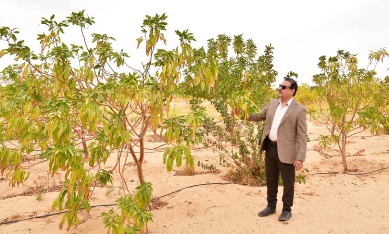 رئيس جامعة الوادي الجديد يتفقد مزرعة النخيل ومواقع الإنتاج الزراعي التابعة لكلية الزراعة