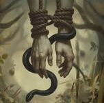 العادات و التقاليد في بعض الأرياف