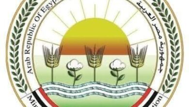 الزراعة تعلن تحصين الماشية بأكثر من 8.5 مليون جرعة للقاحي الحمى القلاعية والوادي المتصدع 2 الزراعة تعلن تحصين الماشية بأكثر من 8.5 مليون جرعة للقاحي الحمى القلاعية والوادي المتصدع