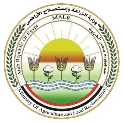  الزراعة تعلن تحصين الماشية بأكثر من 8.5 مليون جرعة للقاحي الحمى القلاعية والوادي المتصدع    