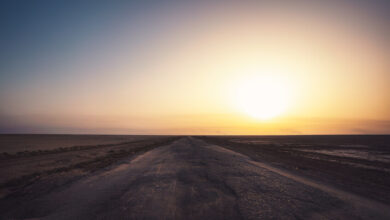 العثور على رضيع ملقى على طريق البصرة  فى منظر يدمي القلب في العراق