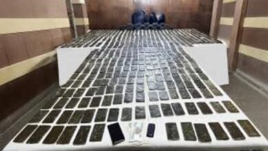 ضبط بؤر لتجارة المخدرات بالجيزة وقنا ومصرع عناصر إجرامية 