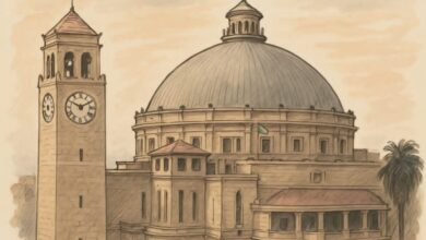 رئيس جامعة القاهرة يعلن ترقية 1674موظفا ومحاميا بالجهاز الإدارى بالجامعة المستحقين للترقية 