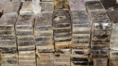 العثور على 62 طربة حشيش داخل محطة مياه شرب بالغربية 