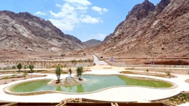 مشروع التجلي الأعظم بسانت كاترين يفوز بالجائزة الأولى في مؤتمر " الشرق الأوسط للاند سكيب" أبوظبي