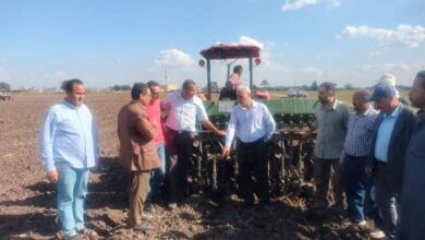 مديرية الزراعة بالشرقية تواصل جهودها لتعزيز الإنتاجية الزراعية وتحقيق الأمن الغذائي