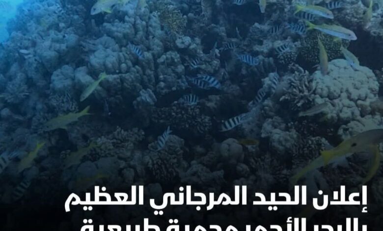 وزيرة التنمية المحلية تعلن الحيد المرجاني العظيم بالبحر الأحمر 1 وزيرة التنمية المحلية تعلن الحيد المرجاني العظيم بالبحر الأحمر