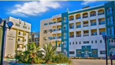 إصابة صياد بلسعة سمكة الأسد السامة على شاطئ العريش"