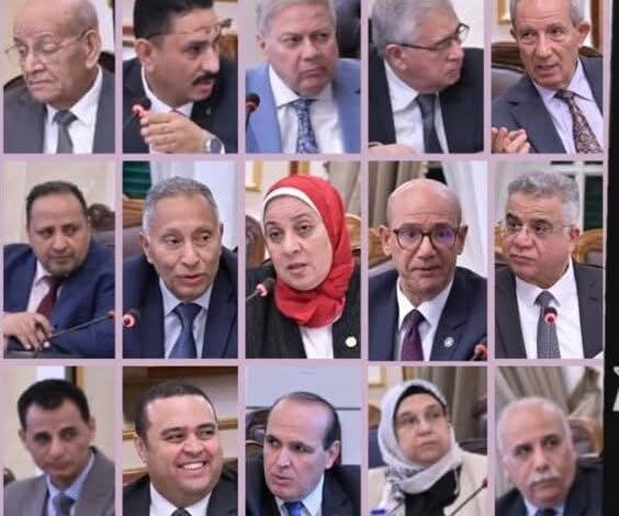 جامعة القاهرة تعلن تقدمًا كبيرًا في مشروع الإسكان 1 جامعة القاهرة تعلن تقدمًا كبيرًا في مشروع الإسكان