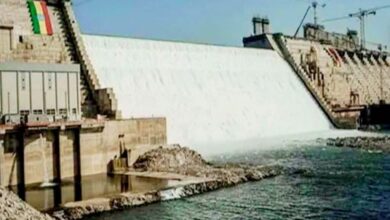 مصر تؤكد عدم الاعتراف بالسد الإثيوبى وتعلن حقها فى حماية أمنها المائى 2 مصر تؤكد عدم الاعتراف بالسد الإثيوبى وتعلن حقها فى حماية أمنها المائى