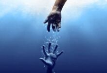 أصبحت الأسماك تعيش في البر