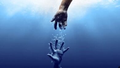 أصبحت الأسماك تعيش في البر