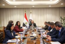 وزير قطاع الأعمال العام يجتمع بمسؤولي مركز المعلومات لمتابعة عدد من ملفات العمل