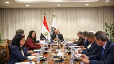 وزير قطاع الأعمال العام يجتمع بمسؤولي مركز المعلومات لمتابعة عدد من ملفات العمل